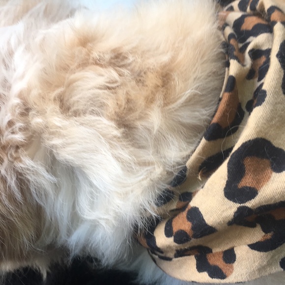 Meet your Posher, Jimmy - Picture 1 of 1